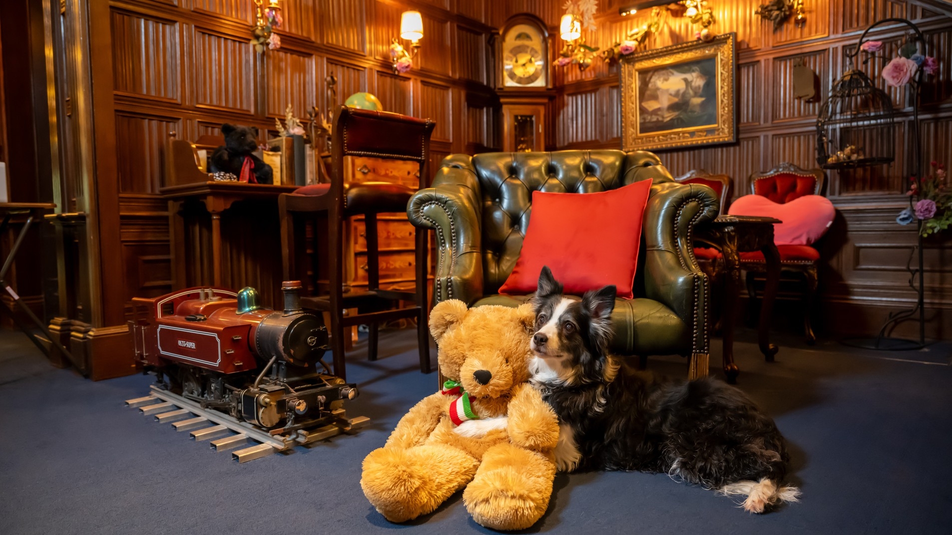 【ルシアン・早期割60】最大4000円OFF♪わんちゃん、ねこちゃんと泊まる！お食事同伴OK！