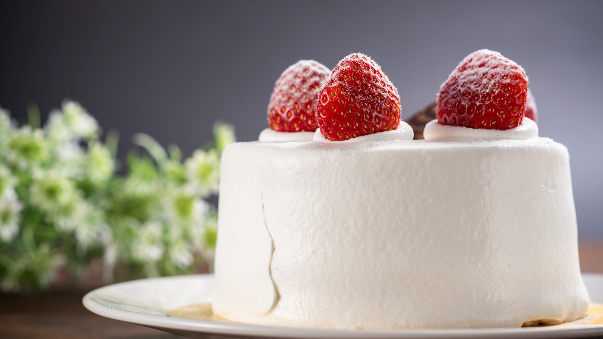 【カップル・ご夫婦】岬の絶景＆島グルメ堪能◎大切な人とのんびり過ごす＜特典ケーキ付＞