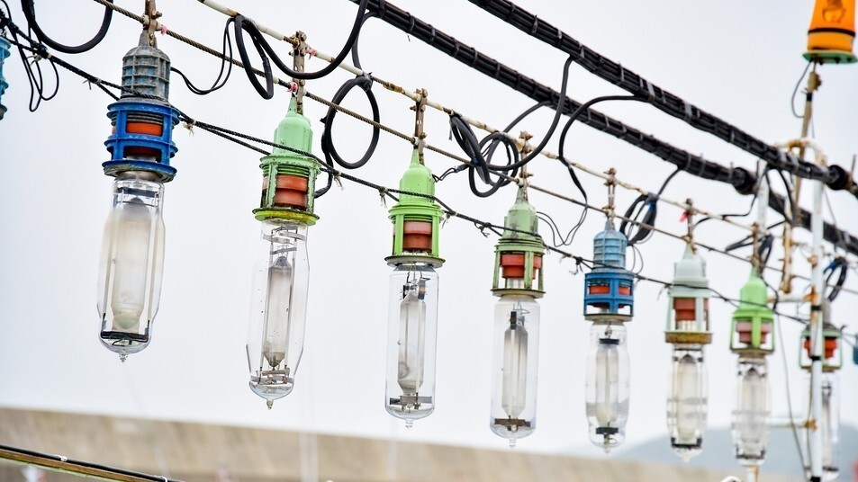 【勝本港】辰ノ島は壱岐随一の透明な砂浜の渚、奇岩・断崖絶壁を海から見上げる島巡り遊覧がオススメ。