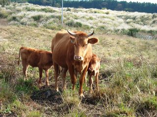 親と子の移動