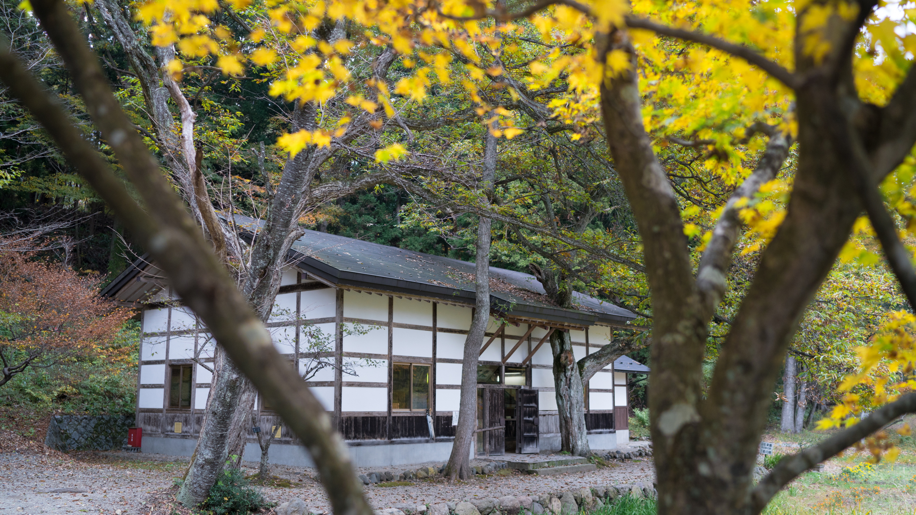 【周辺】美しい花巻の自然に癒されて