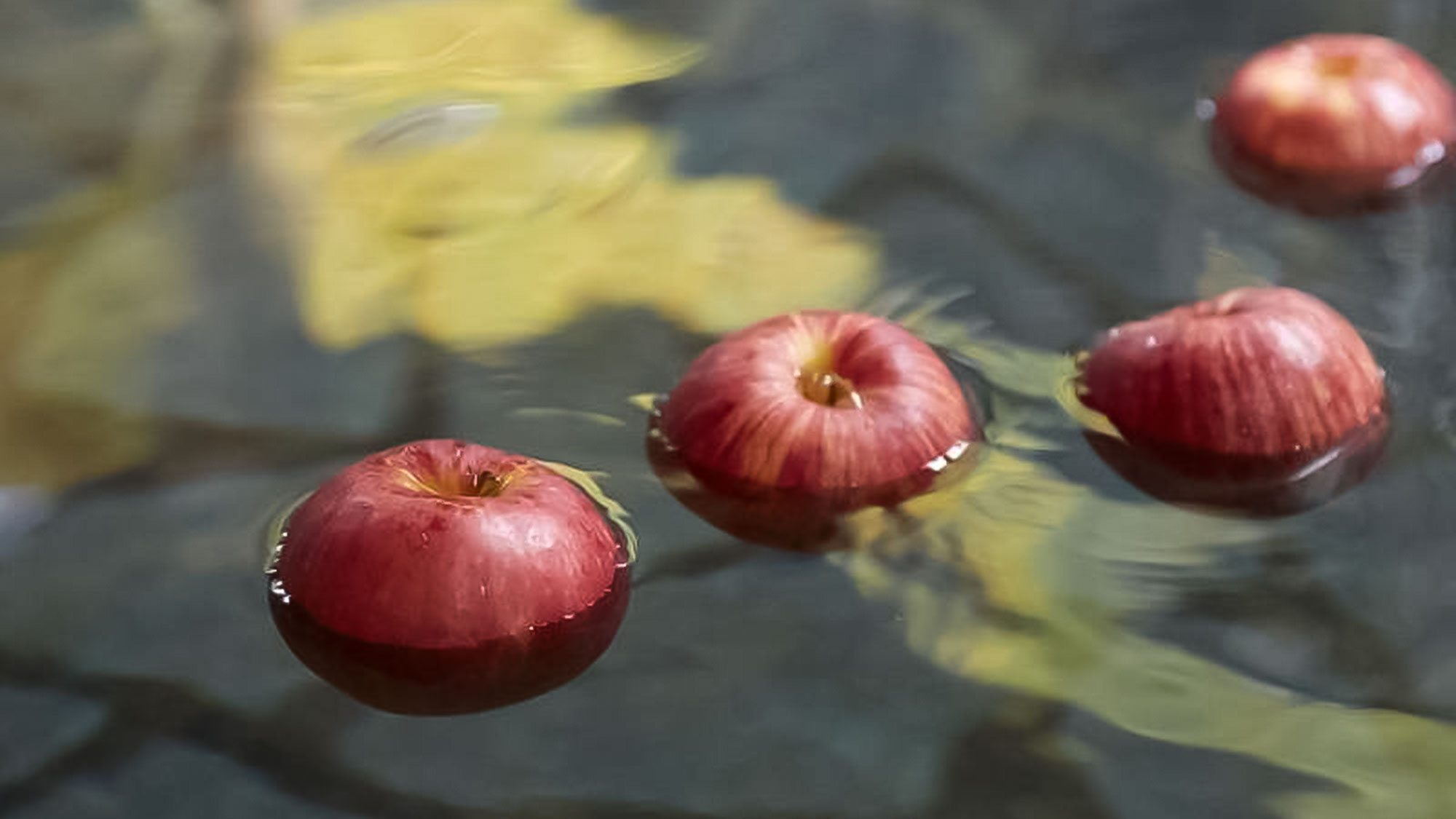 節句や季節に応じたお風呂