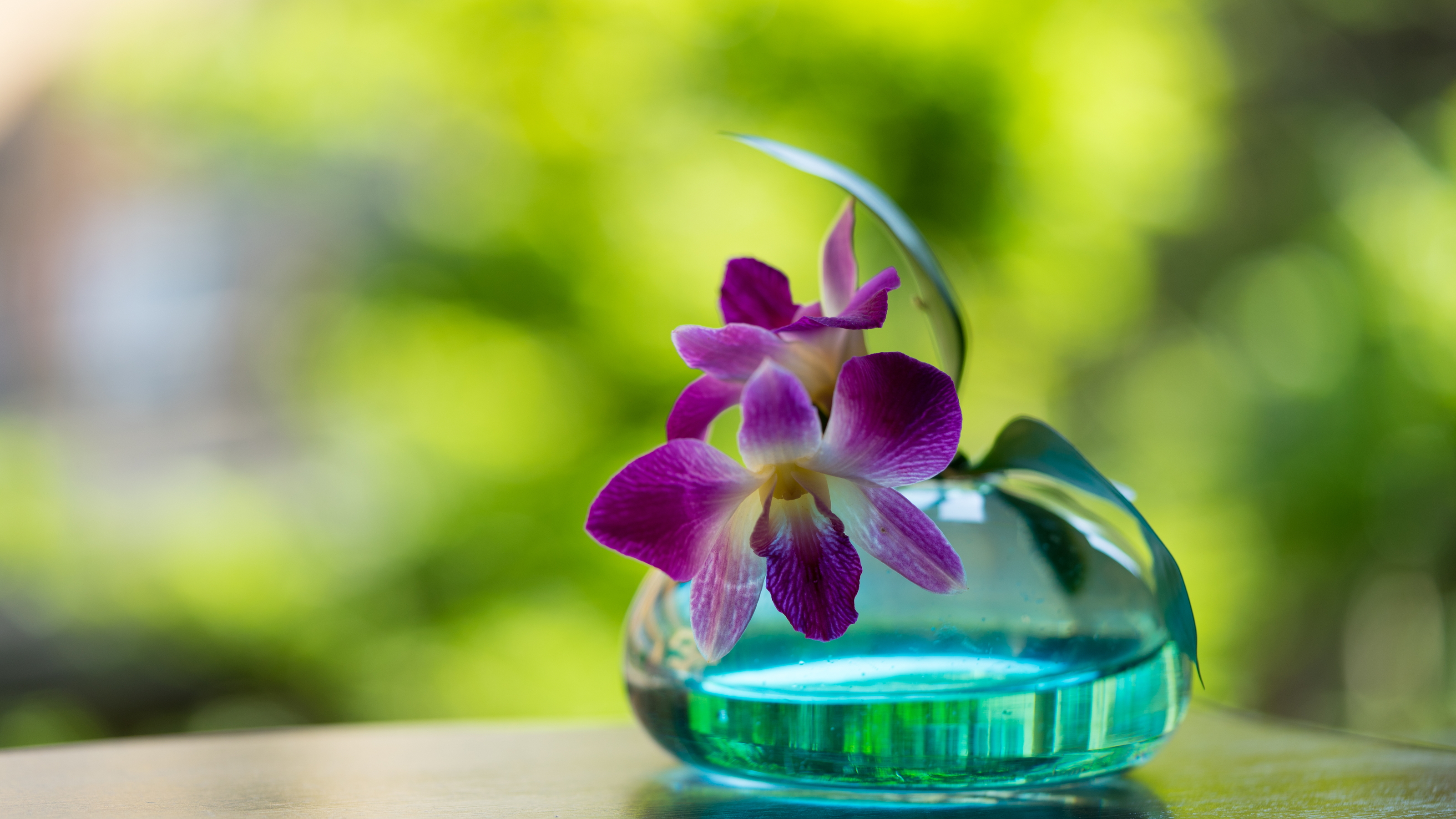 【館内】季節のお花でおもてなし