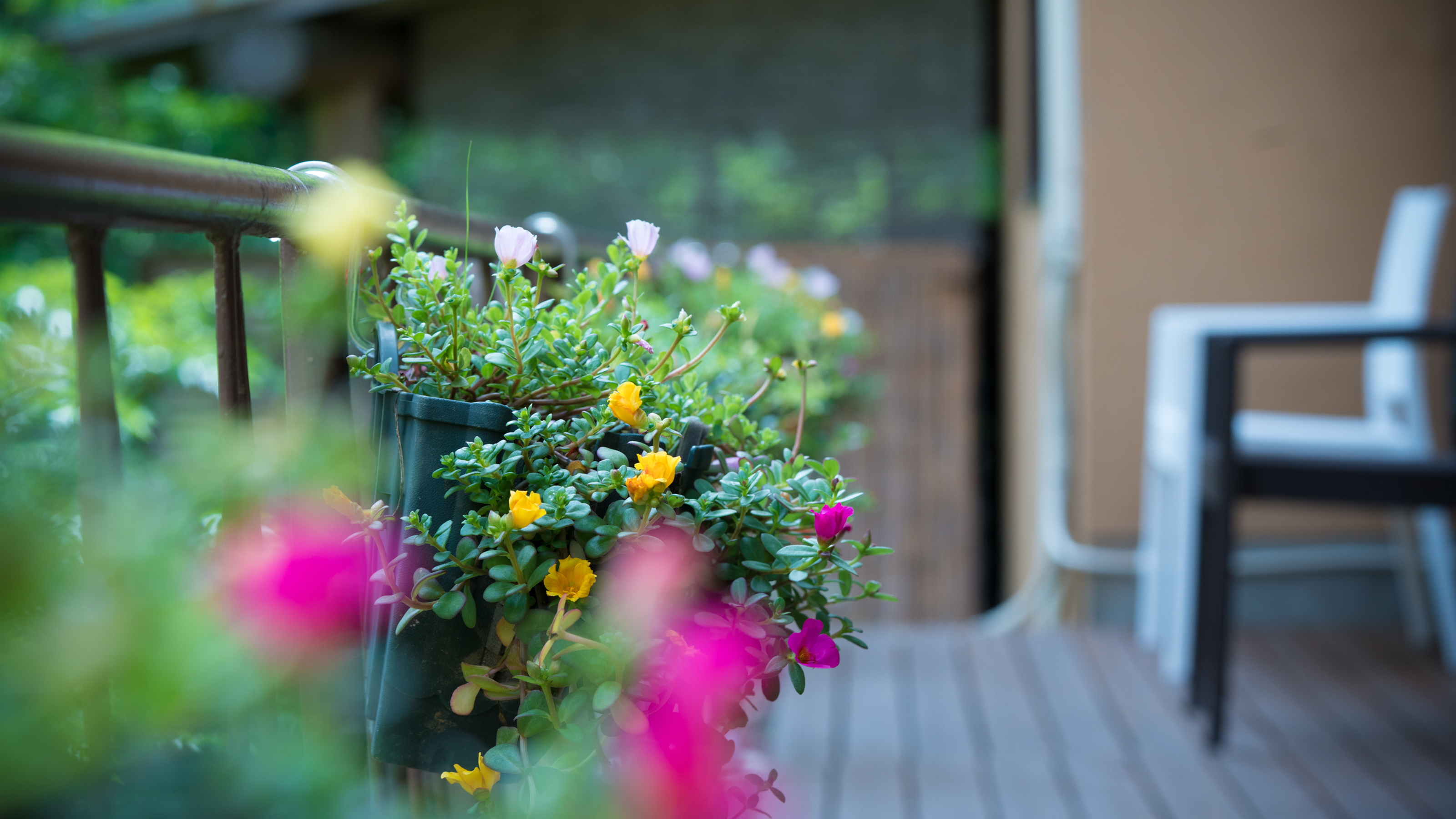 季節のお花でおもてなし