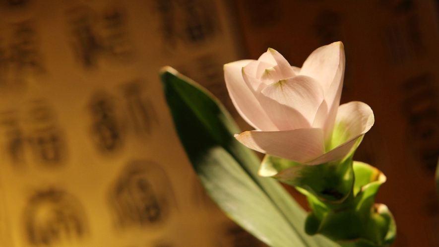 館内は「季節の生花」があちこちに。