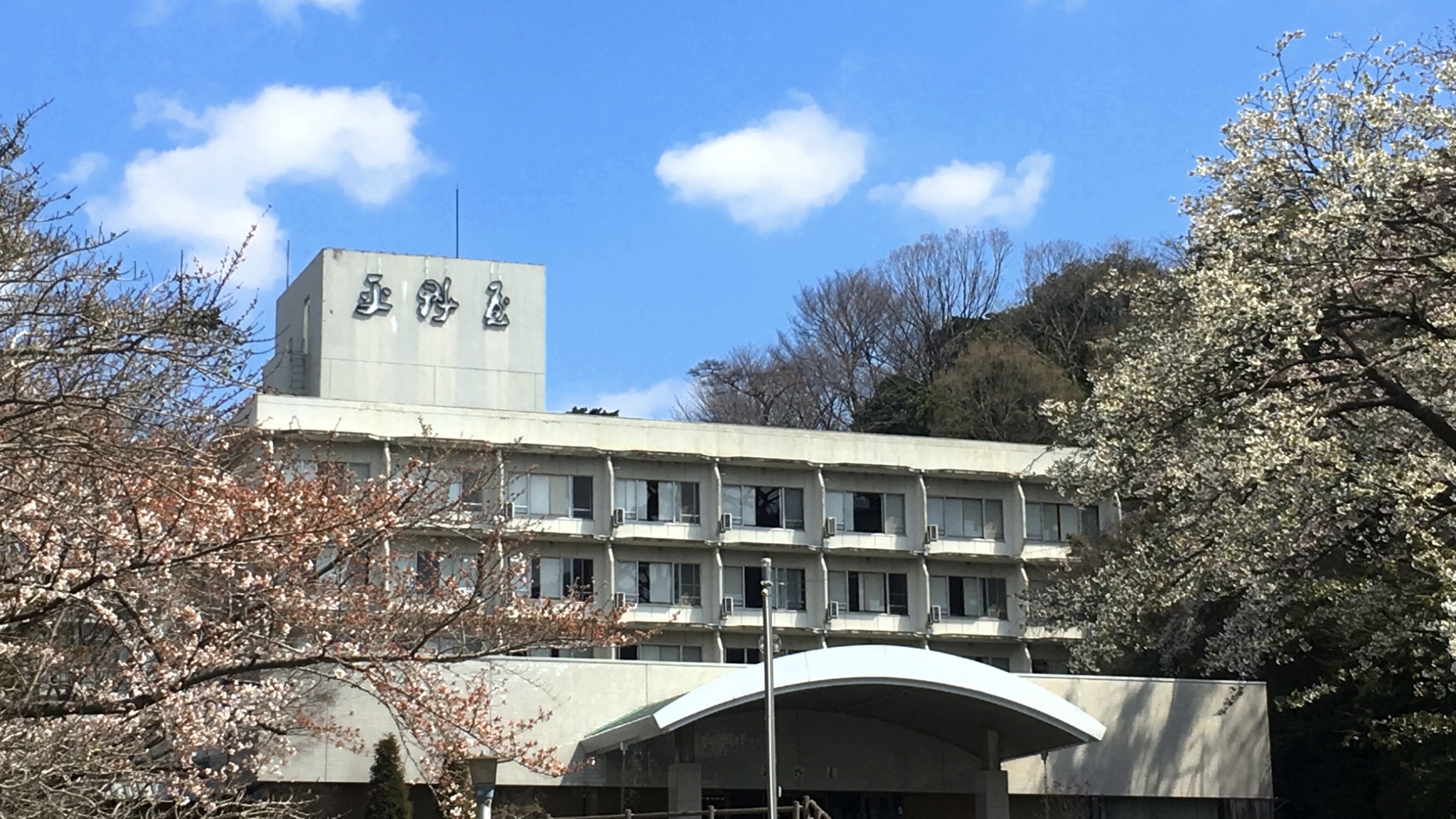 春には桜をお楽しみ頂けます