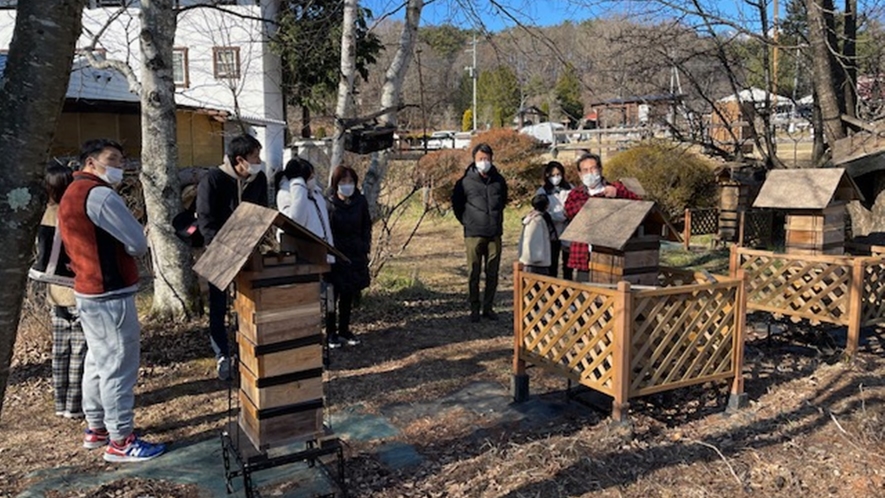 *【体験】養蜂現場見学／当館で育てているミツバチの巣箱を見学。生態や養蜂の流れを学びます。