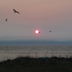 富士岬から礼文島へ沈む夕陽