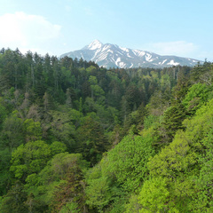 姫沼から見える利尻山