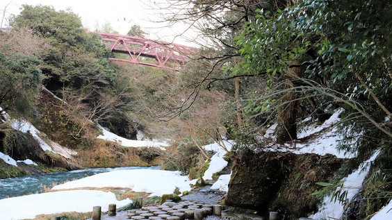＜冬の味覚＞お一人様にズワイガニ一杯付き！温泉×蟹を満喫する冬旅／冬の醍醐味を求め山中温泉へ