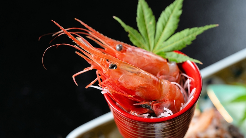 人気No.1＜お料理重視＞新鮮な地魚の「お造り9種盛り」付会席／石川の食材をふんだん使ったおもてなし