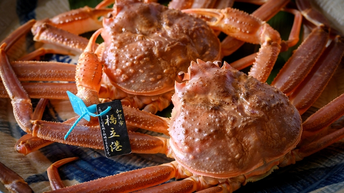 ＜冬の味覚＞水色のタグは本物の証！極上の逸品「加能ガニ」一杯付き会席／温泉×蟹 で至福のひと時を…