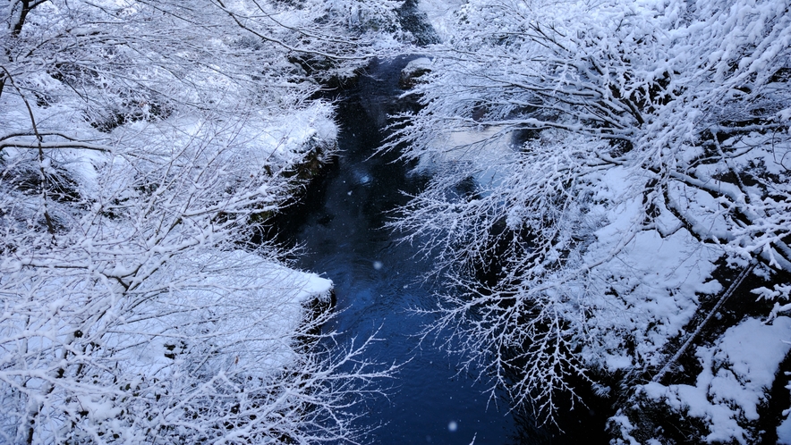 雪化粧を施した鶴仙渓の景色