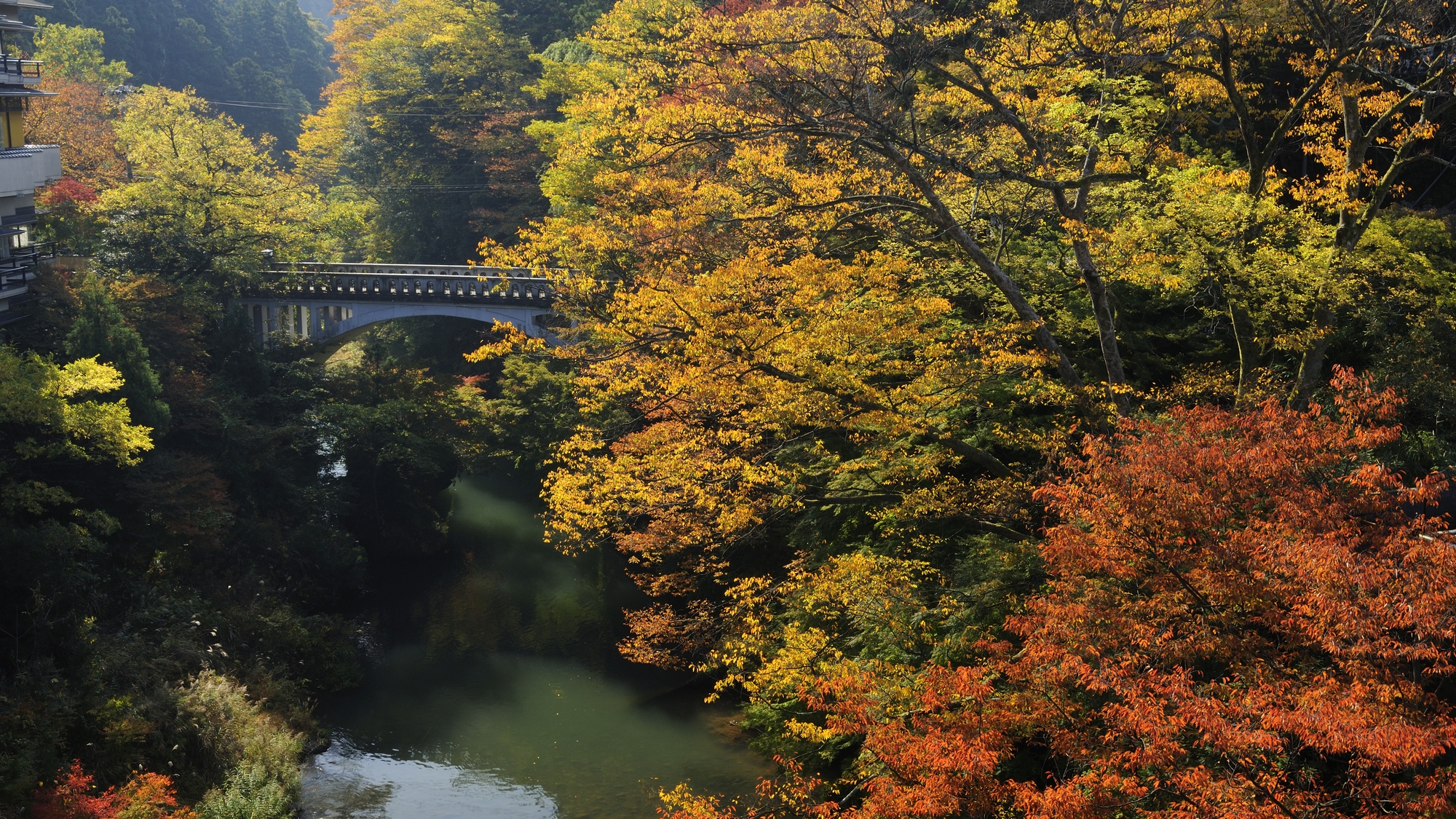 秋は紅葉の鶴仙渓を見に来られる観光客の皆様でにぎわいます