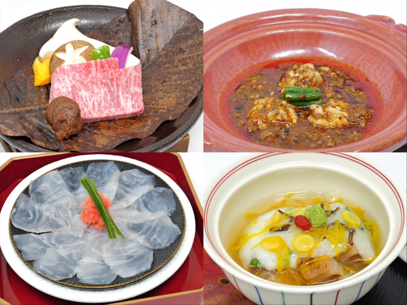 【紅や四季物語プラン冬】信州プレミアム牛×河豚てっさ×白子麻婆！冬の味覚を食い尽くす「華雪会席」