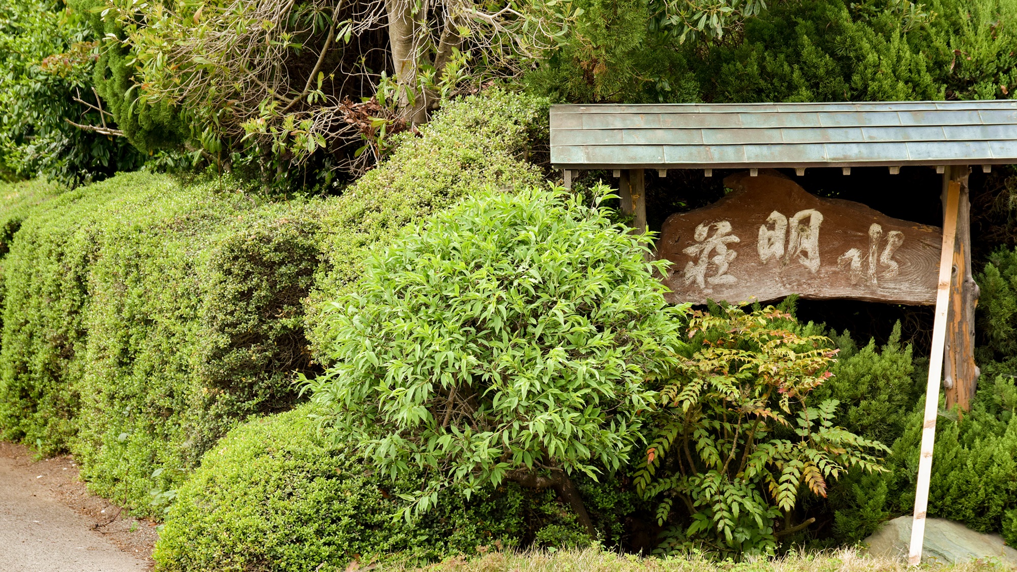 *外観／割烹旅館 水明荘へようこそ。