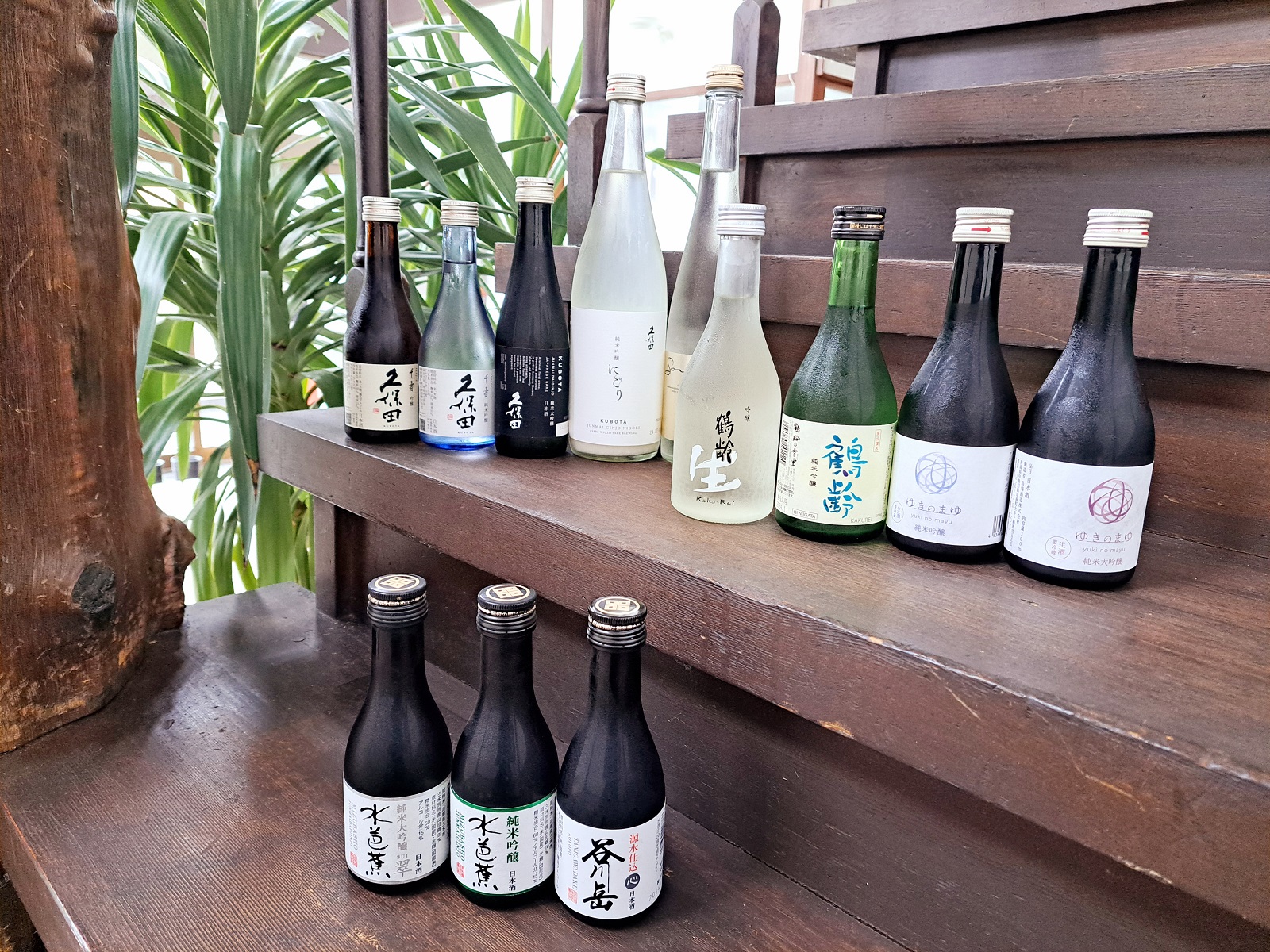 地酒　新潟の酒　