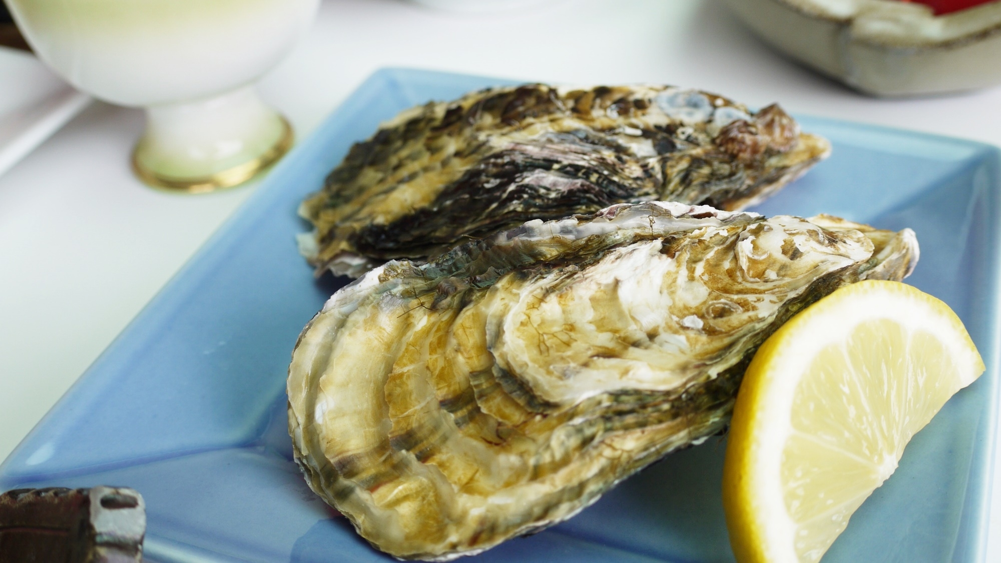 【3/15までの期間限定■坂越牡蠣会席】＜赤穂の冬の味覚を堪能＞坂越牡蠣を尽くしでどうぞ。