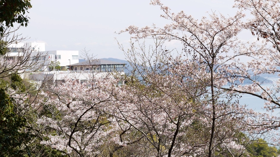 【3月〜5月限定■桜鯛特別会席】＜春の味覚を贅沢に堪能＞瀬戸内の旬を味わう！旨み溢れる桜鯛で春を満喫