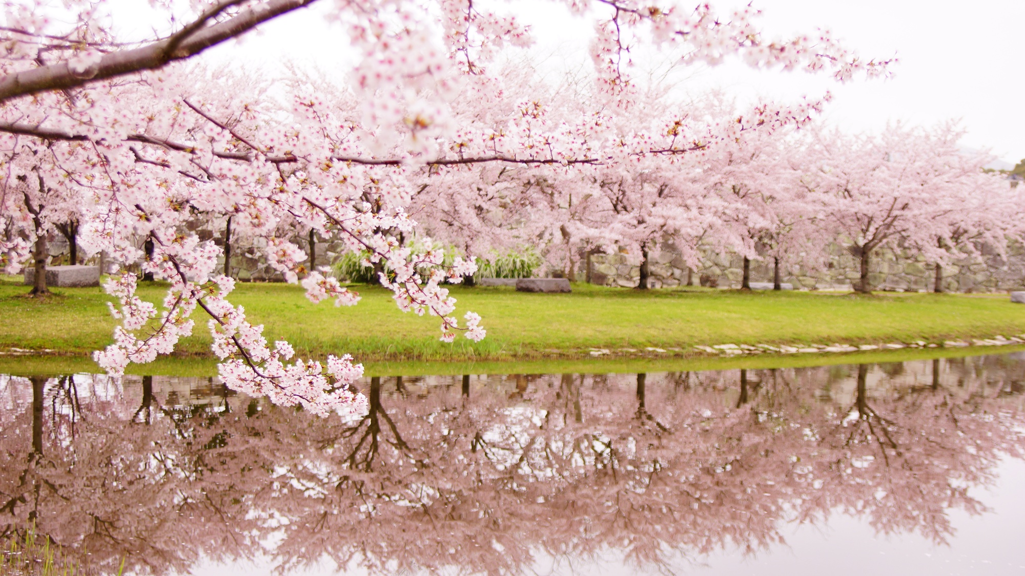 ⋆桜シーズン　赤穂城跡（当館から車で12分）
