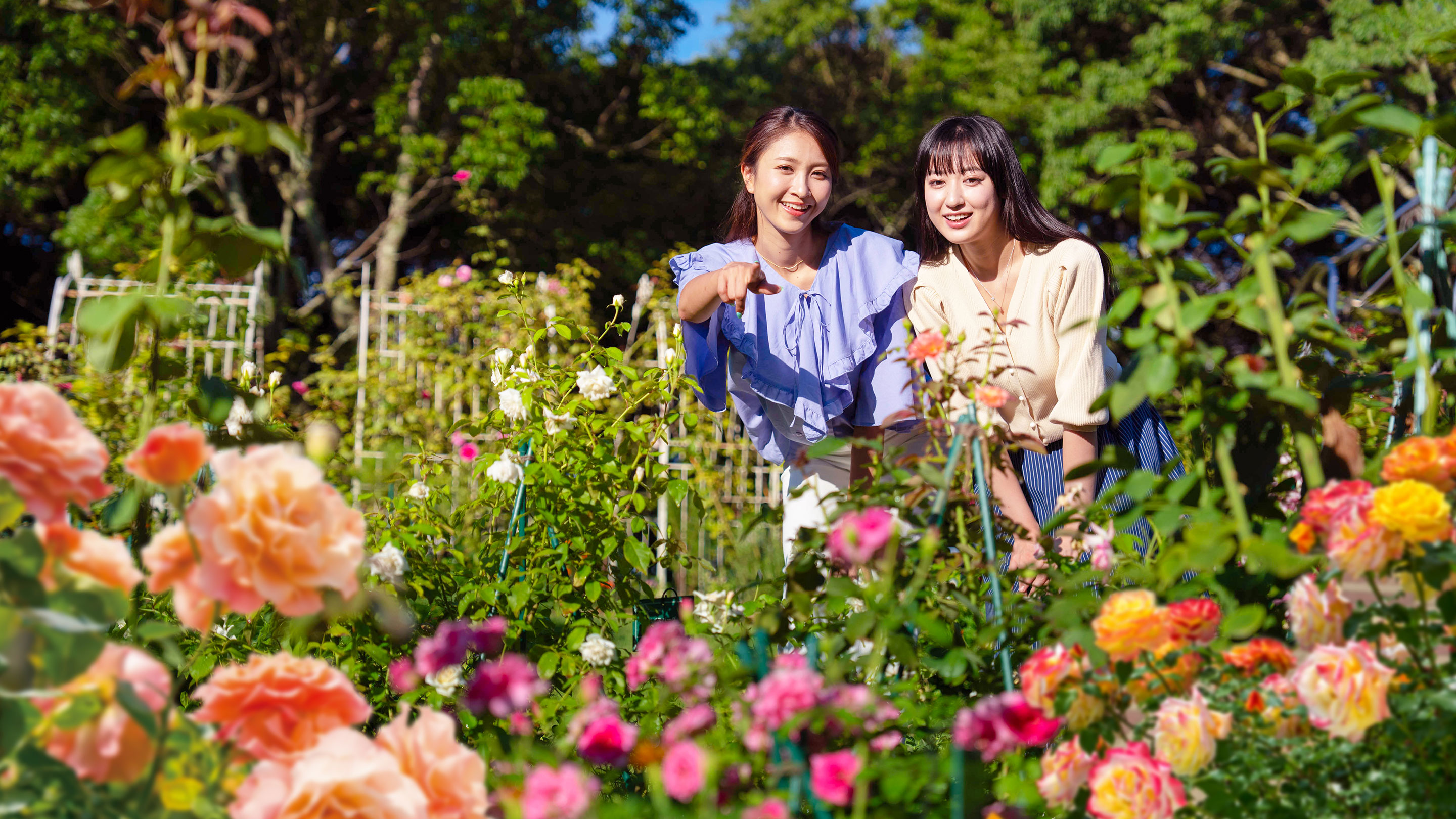 ローズガーデン