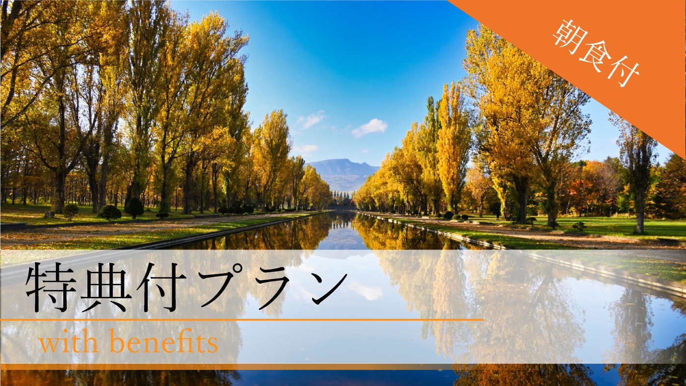 【秋旅北海道】北海道の短い秋を楽しむ〇駐車場１台無料＆早めの１３時チェックインＯＫ♪〇朝食バイキング