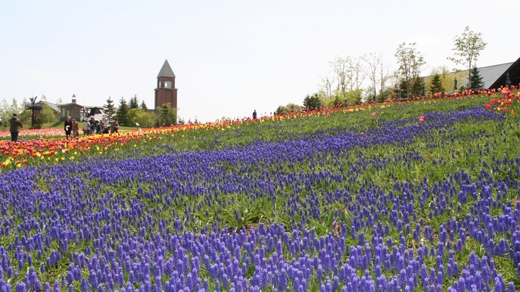 【カード決済限定〇朝食付】返金不可なのでお得〇旅行の予定が決まったらお早めに！バイキング朝食付プラン