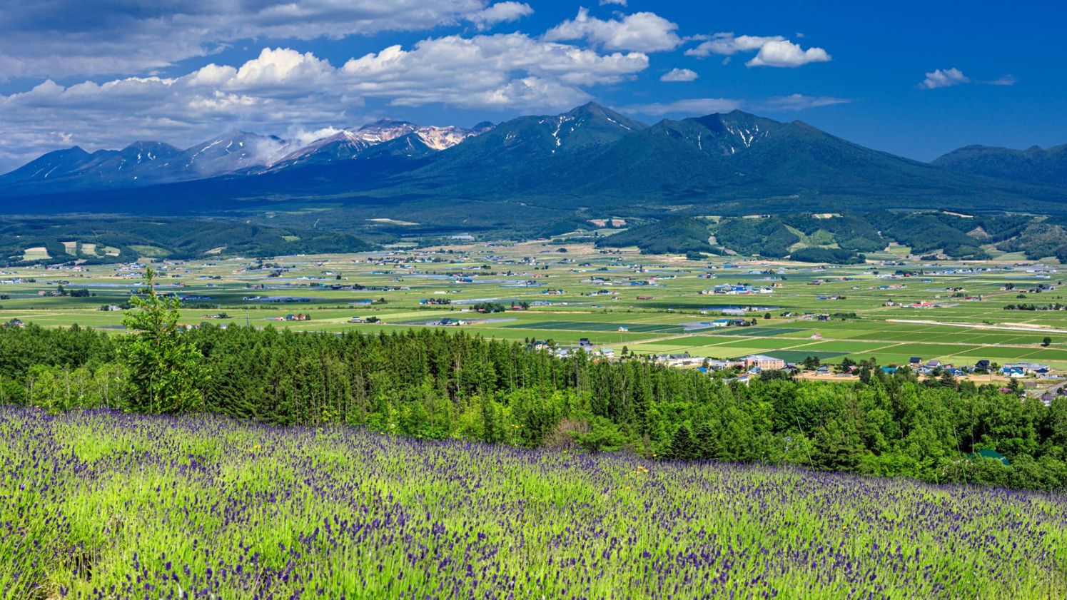 ラベンダー畑や色鮮やかな花が咲き誇る景色が魅力！北海道で絶景ドライブ旅行♪