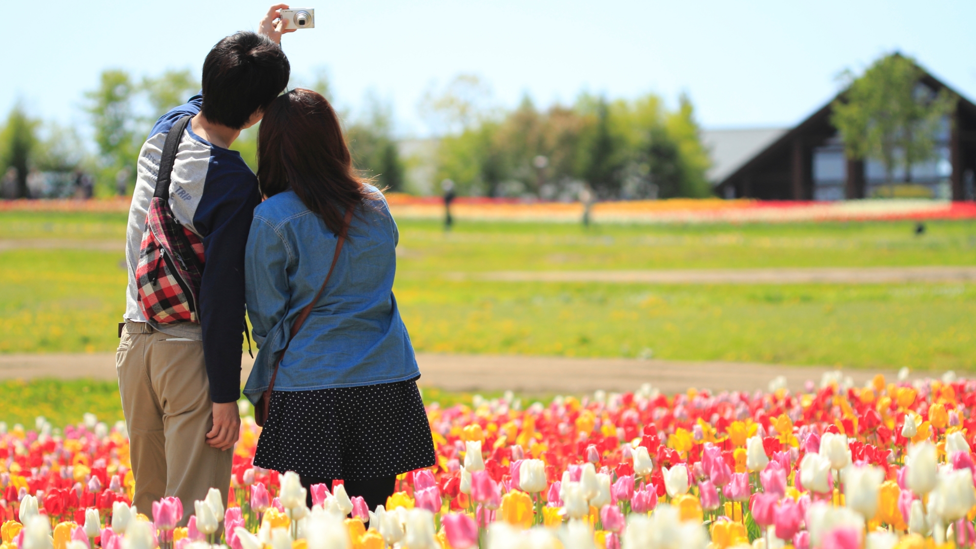 国営滝野すずらん丘陵公園まで車で５０分。花畑の中を散策できます。