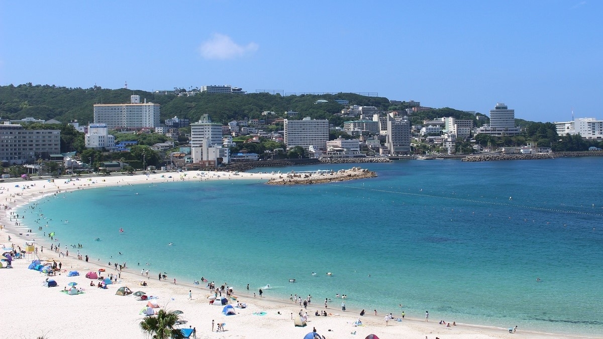 【年末年始限定｜彩り会席】白浜の特等席で迎える新年 〜穏やかな新春を彩る会席料理〜