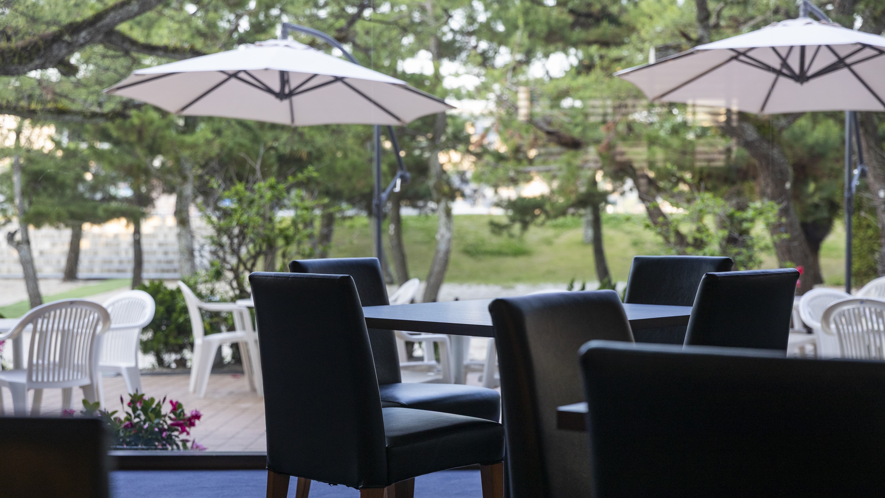 【ラウンジ 丨 シュガービーチ】