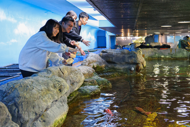 【年齢制限無し】「子どもと一緒に体験しよう！魚たちへ給餌体験付き宿泊プラン」【チェックアウト日体験】