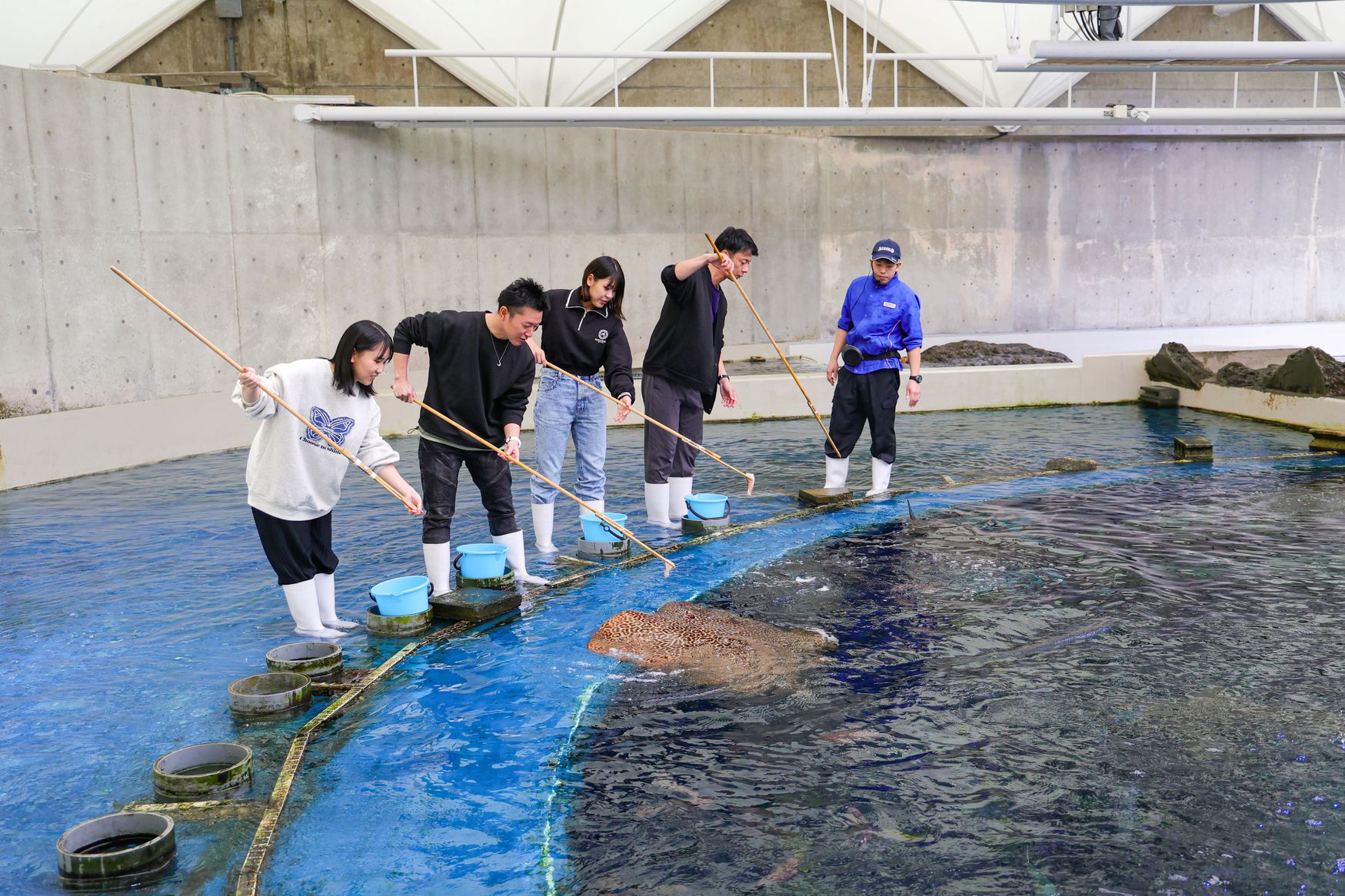 【チェックアウト日体験】サメやエイに餌をあげよう♪給餌体験付プラン