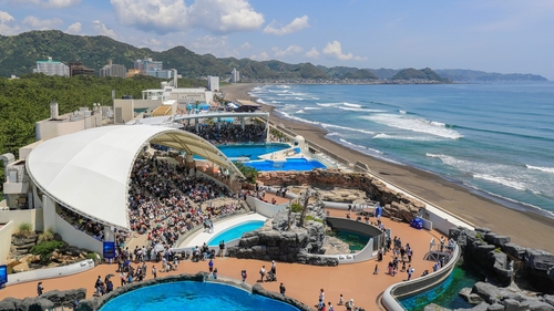 鴨川シーワールドホテル 格安予約 宿泊プラン料金比較 トラベルコ 鴨川シーワールドホテル 格安予約 宿泊プラン料金比較 トラベルコ