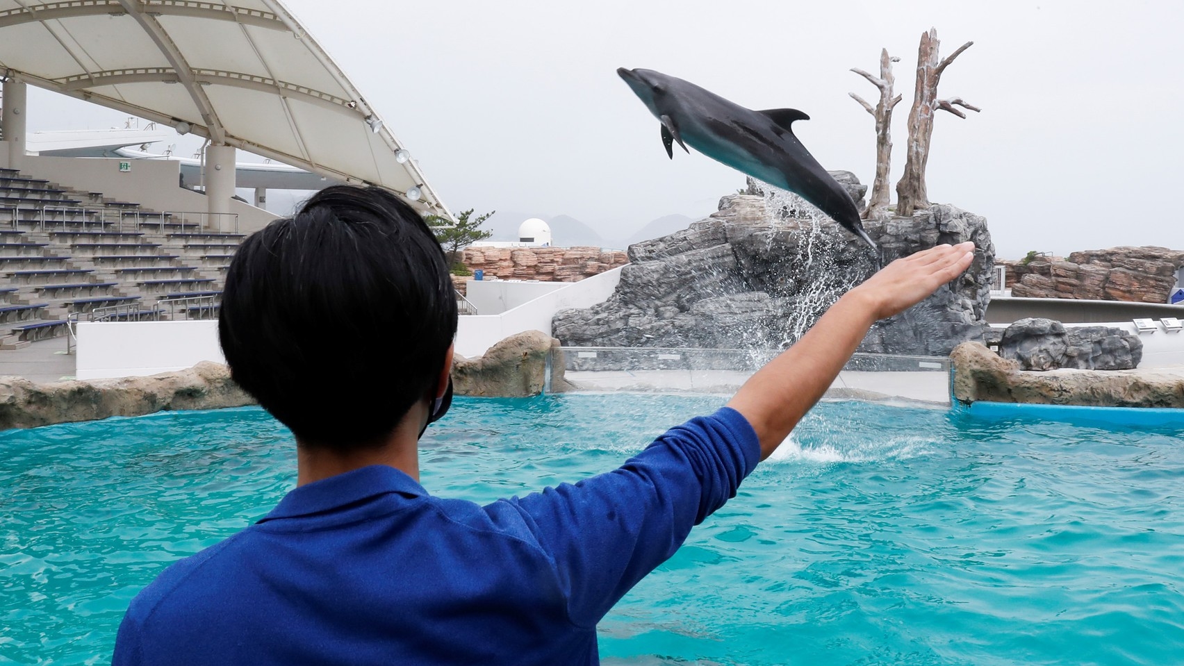 イルカにサインを出してみよう！宿泊日体験プラン【イルカの海コミュニケーションタイム】