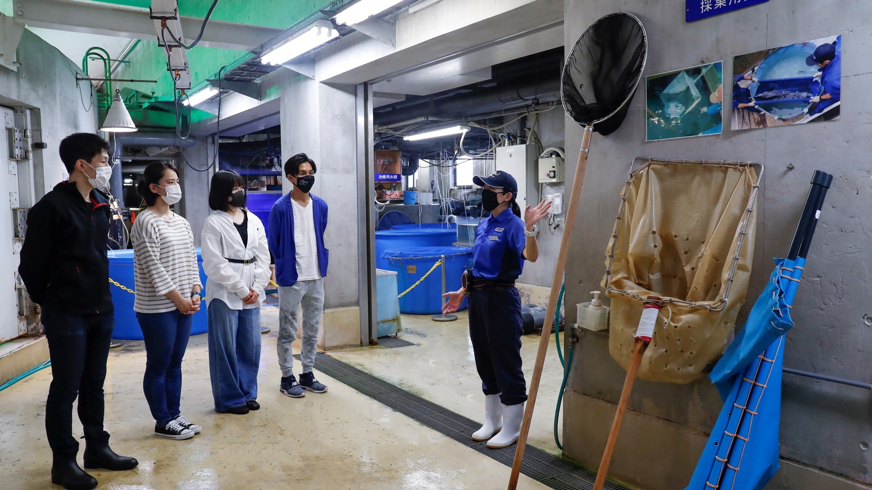 【チェックアウト日に体験】なかなかみられない裏方を見学！水族館まるごとウォッチング体験付