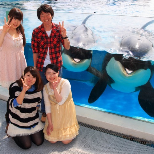 鴨川シーワールドホテル 設備 アメニティ 基本情報 楽天トラベル