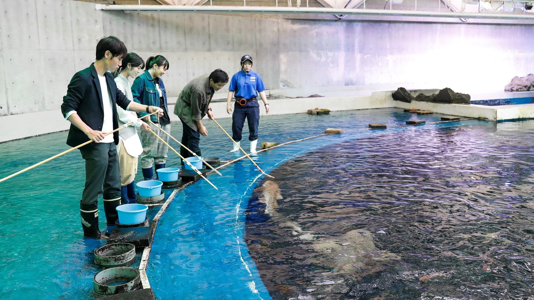 鴨川シーワールドホテル 格安予約 宿泊プラン料金比較 トラベルコ 鴨川シーワールドホテル 格安予約 宿泊プラン料金比較 トラベルコ