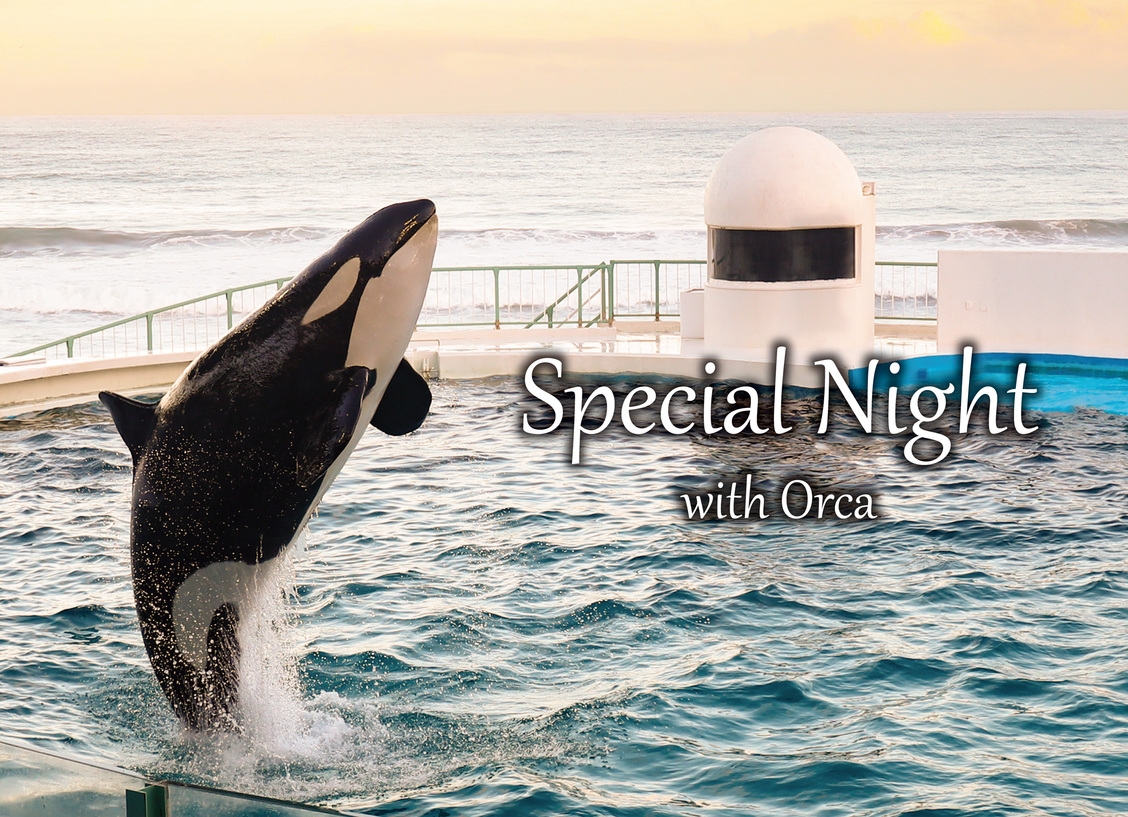 【期間限定】「Special Night with Orca」付き！プラン