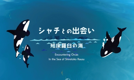 【宿泊者限定 知床シャチ映像放映＆夜の水族館探検付き】ホテル時間充実プラン