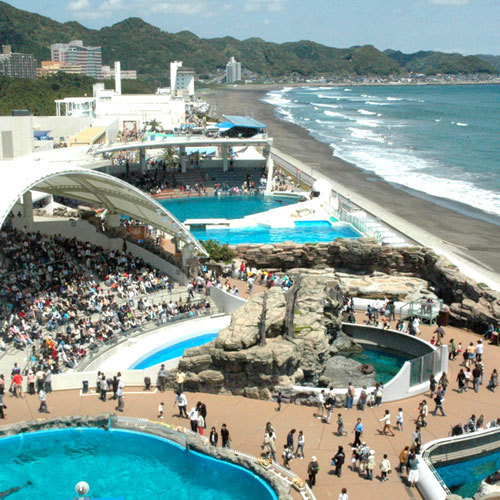 鴨川シーワールドホテル 写真 動画 楽天トラベル