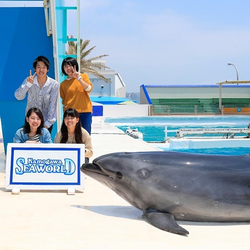 鴨川シーワールドホテル 設備 アメニティ 基本情報 楽天トラベル