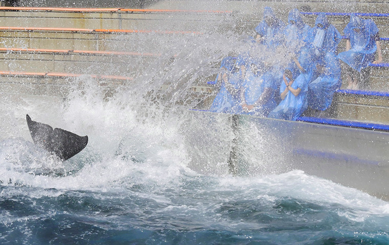 鴨川シーワールドホテル 設備 アメニティ 基本情報 楽天トラベル