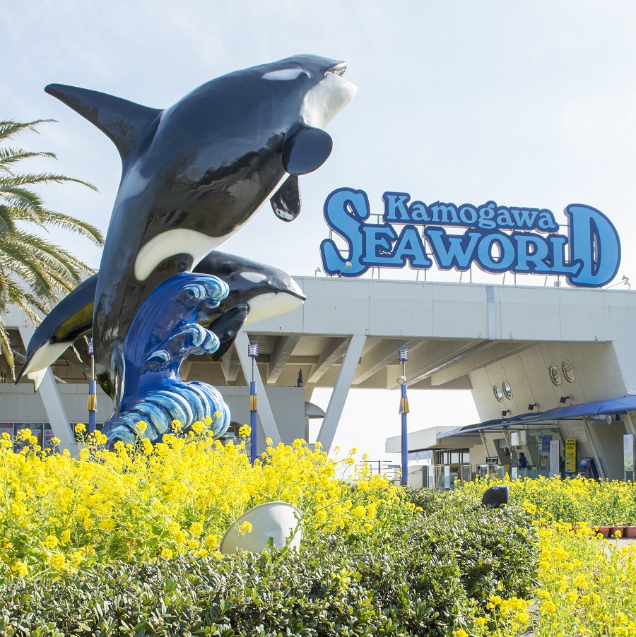 鴨川シーワールドホテル 設備 アメニティ 基本情報 楽天トラベル