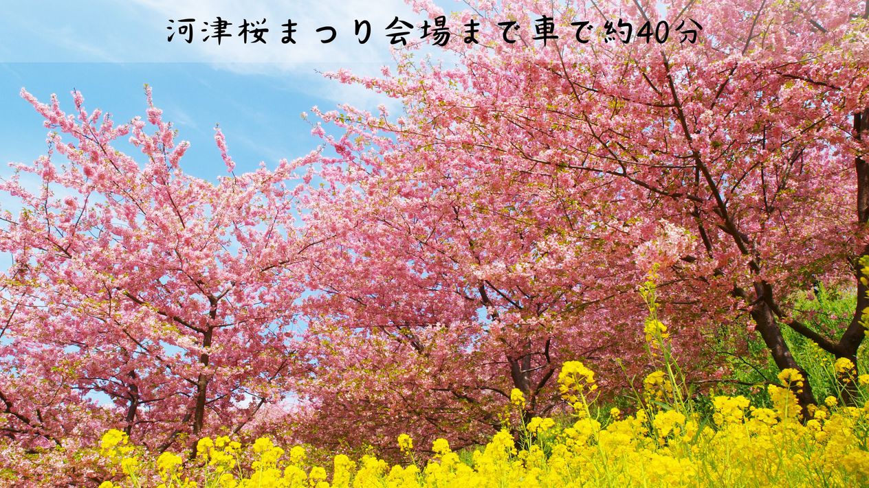 【マタニティママ】海温泉と祝蟹膳で赤ちゃんを迎える夫婦旅☆海望む露天風呂付き客室で11時アウト