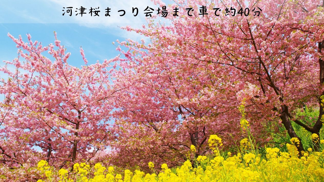 【マタニティママ】海温泉と祝蟹膳で赤ちゃんを迎える夫婦旅☆海望む露天風呂付き客室で11時アウト