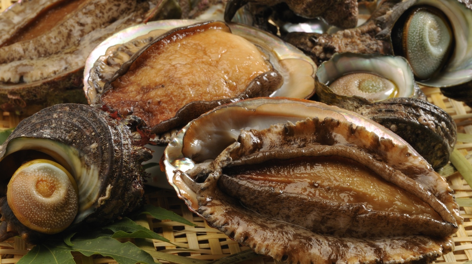 【一番人気】贅を尽くした伊豆海鮮懐石☆海望む露天風呂付客室☆11時チェックアウト＆貸切露天風呂が無料