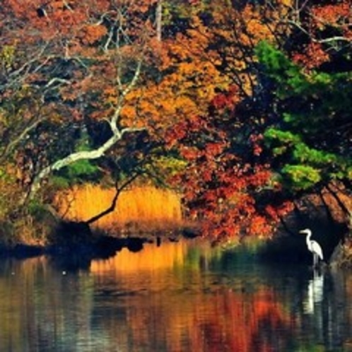 秋の伊豆一碧湖、紅葉が美しい湖畔 宿から車で約７分