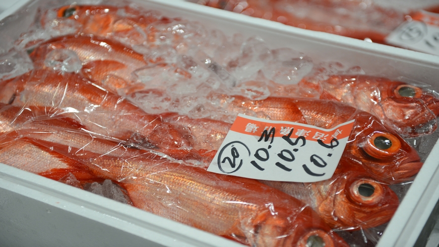 沼津港市場で毎朝仕入れる伊豆金目鯛や伊豆地魚