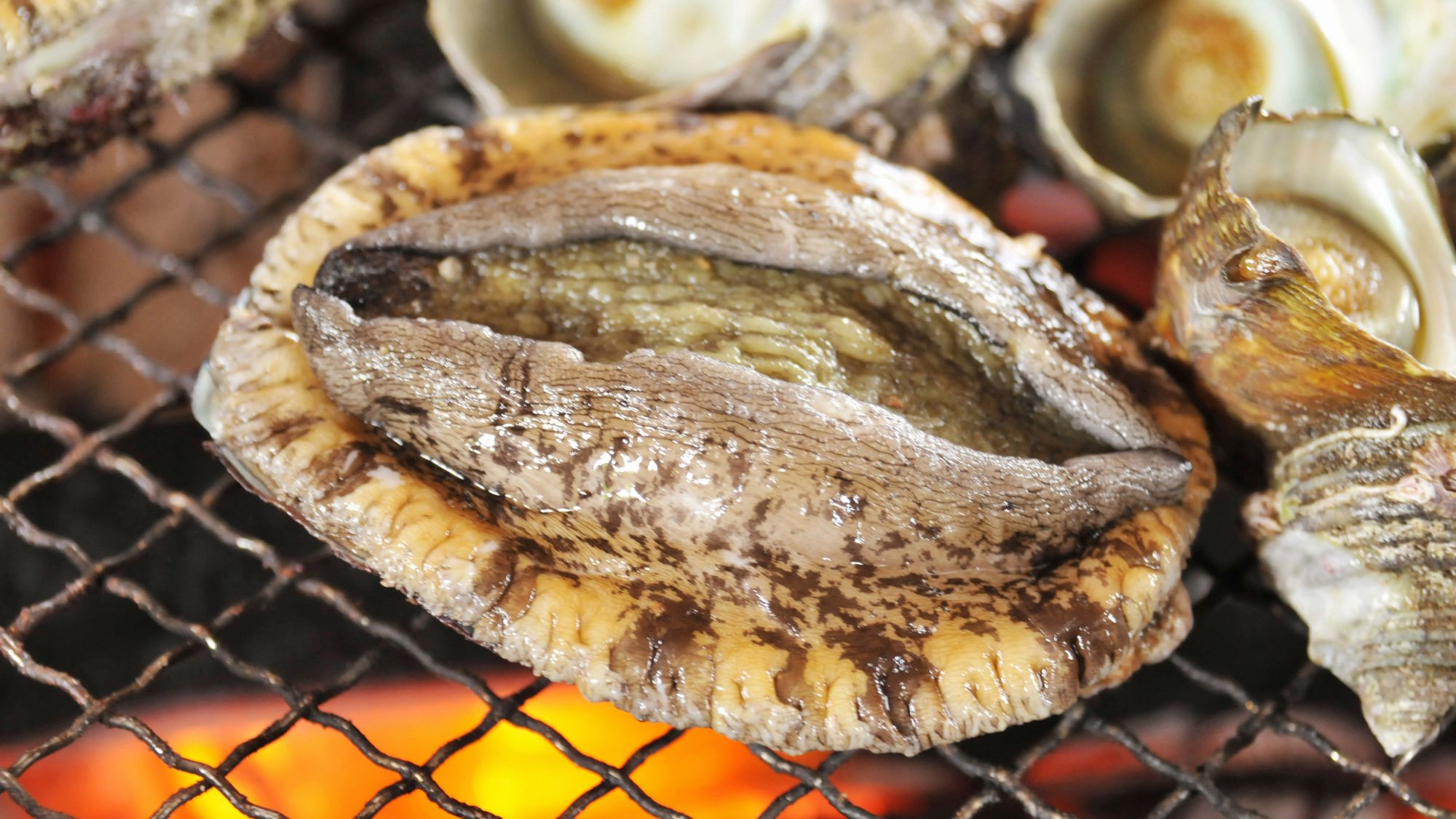 活きあわび踊り焼